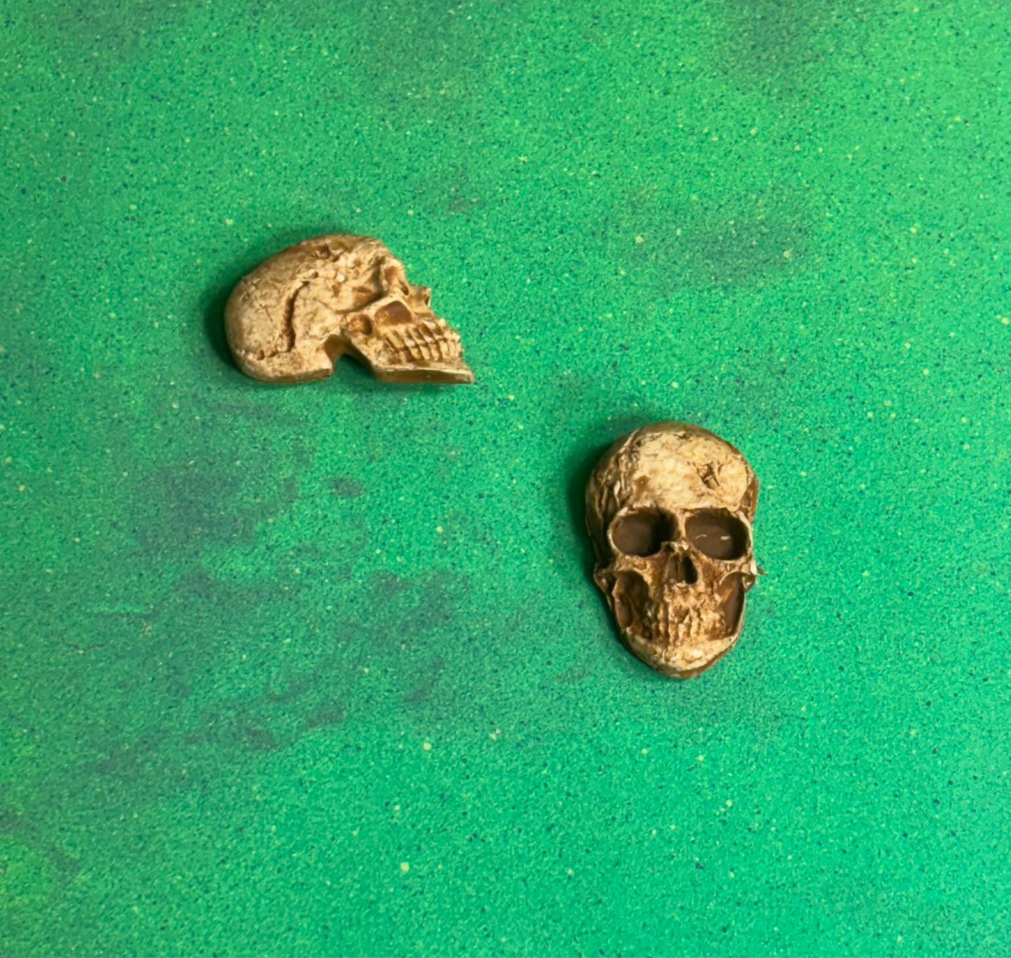 Freaky Fridge Magnets