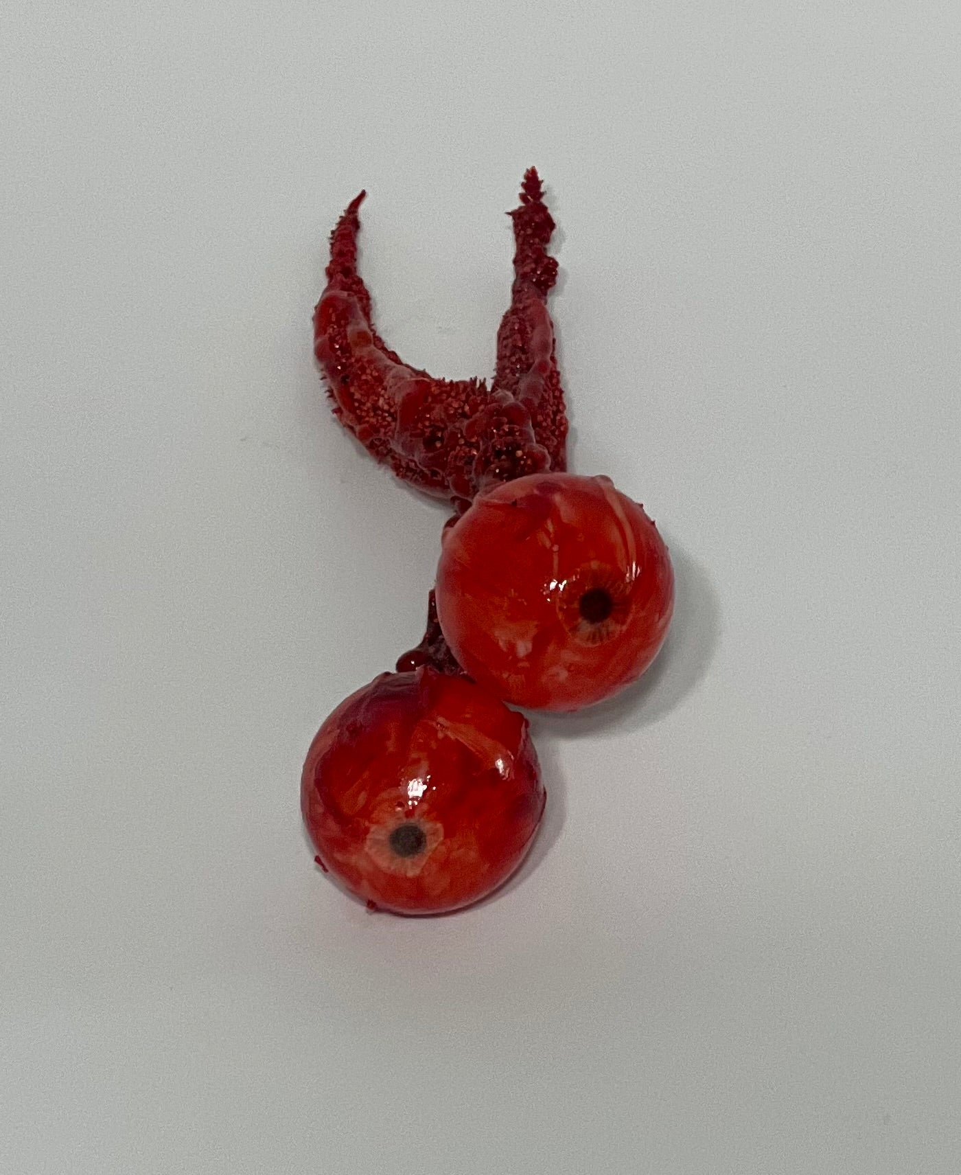 Prop Eyeball with Optic Nerve
